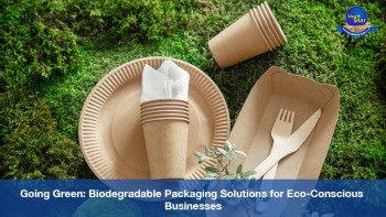 Going Green: Biodegradable Packaging Solutions For Eco-conscious Businesses