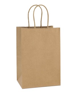 Brown Paper Bags Small ( Twisted Handle)